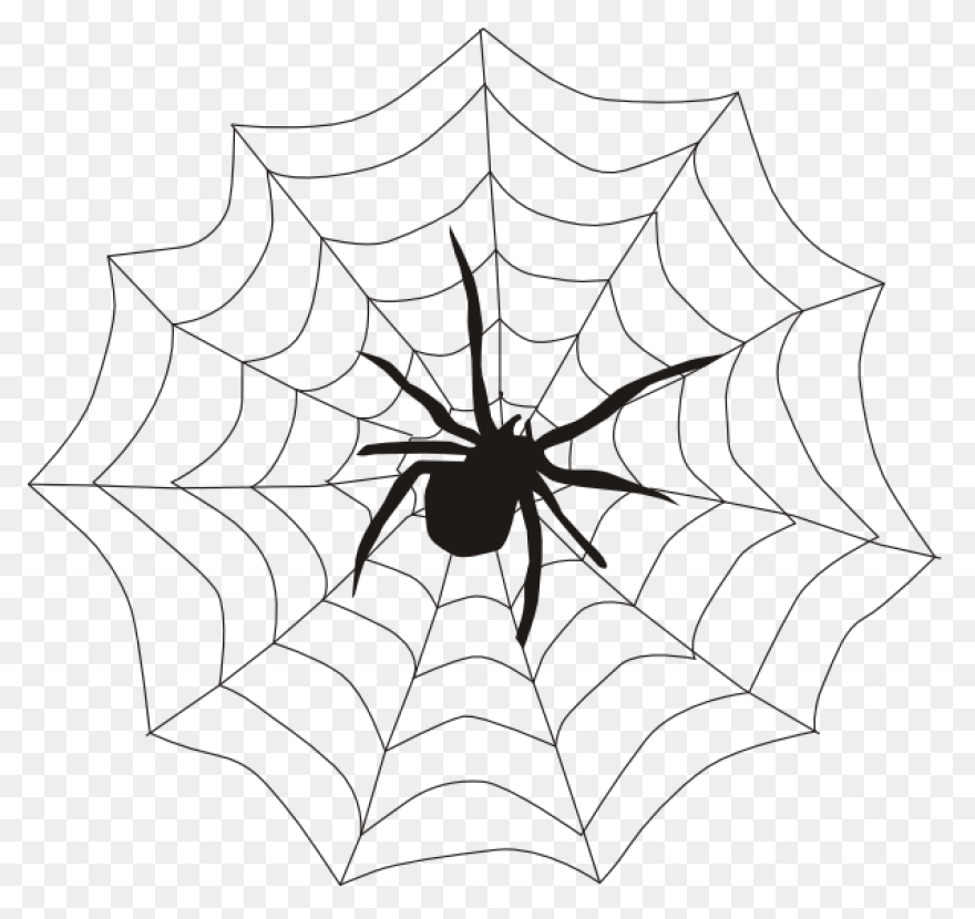 Green Spider Web Clip Art - Green S