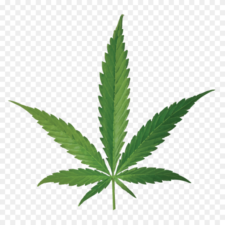 Weed Joint Drawing At Free For Pers