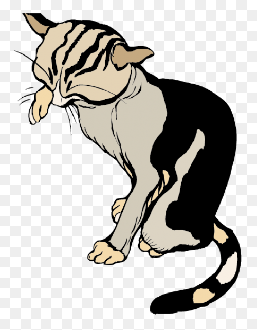 Cat Whisker Clipart Clip Stock - Whiskers