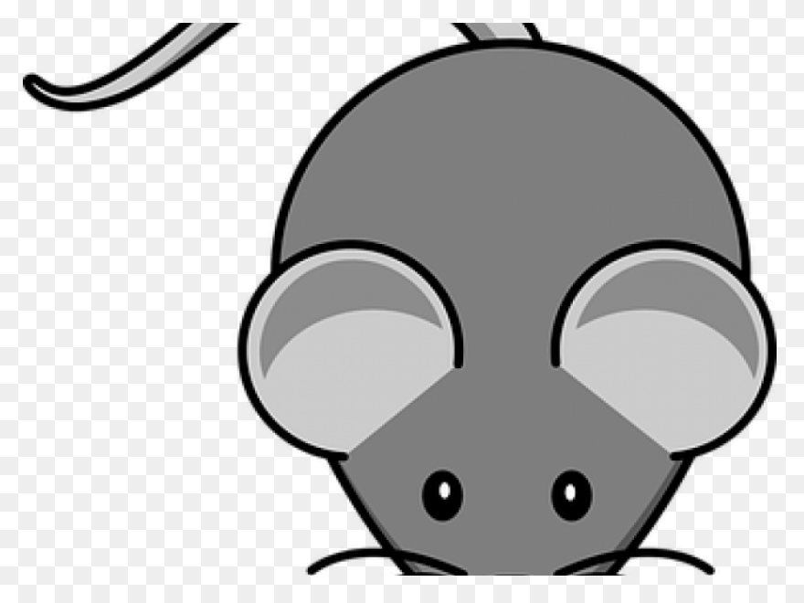 Cat Whisker Clipart Clip Stock Cat 