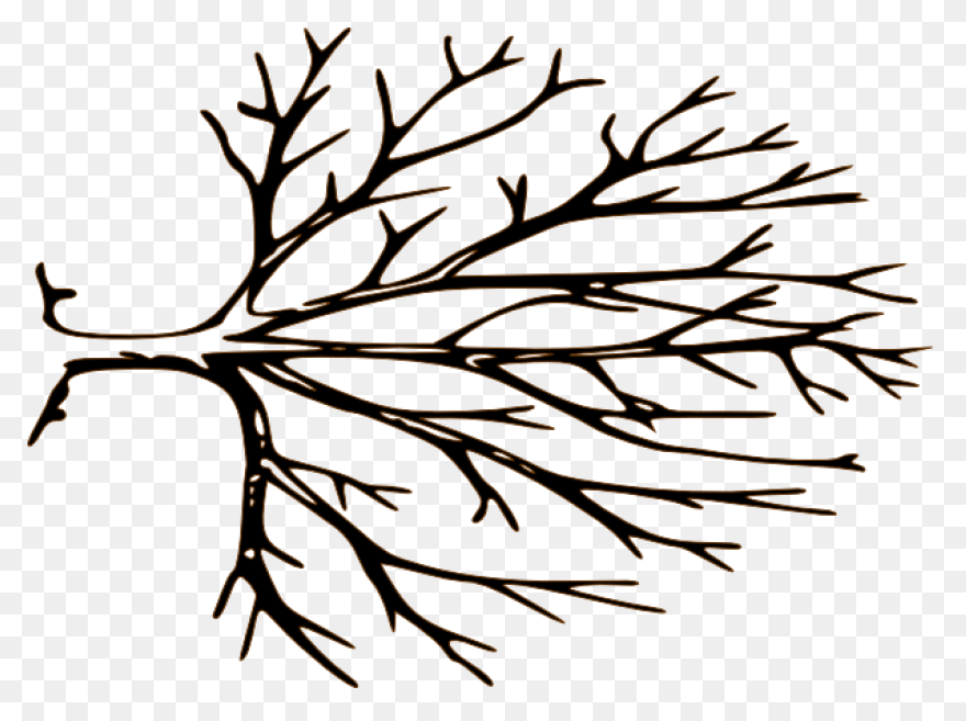 Free Black And White Tree Images, D
