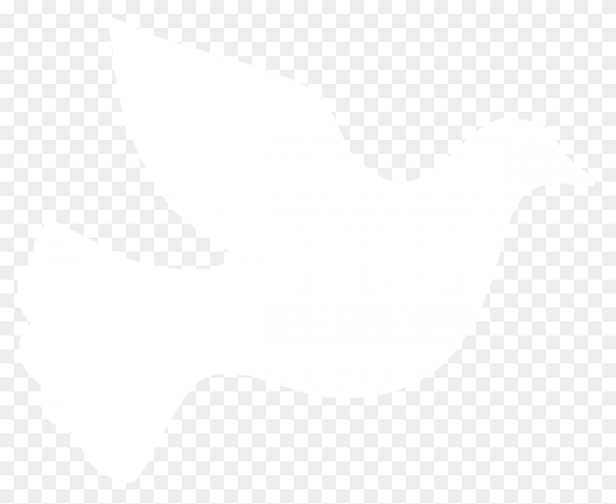 White Dove Peace Png - Imagen Trans