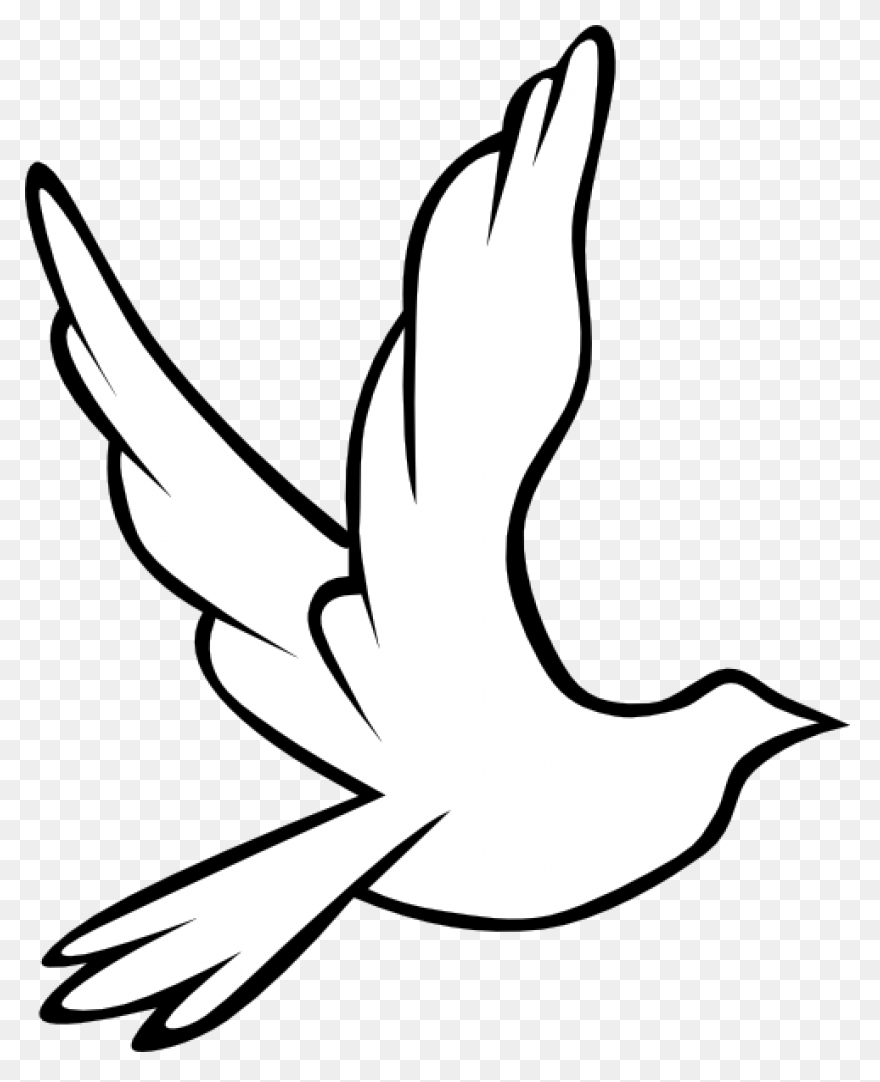 White Dove Peace Png - Imagen Trans