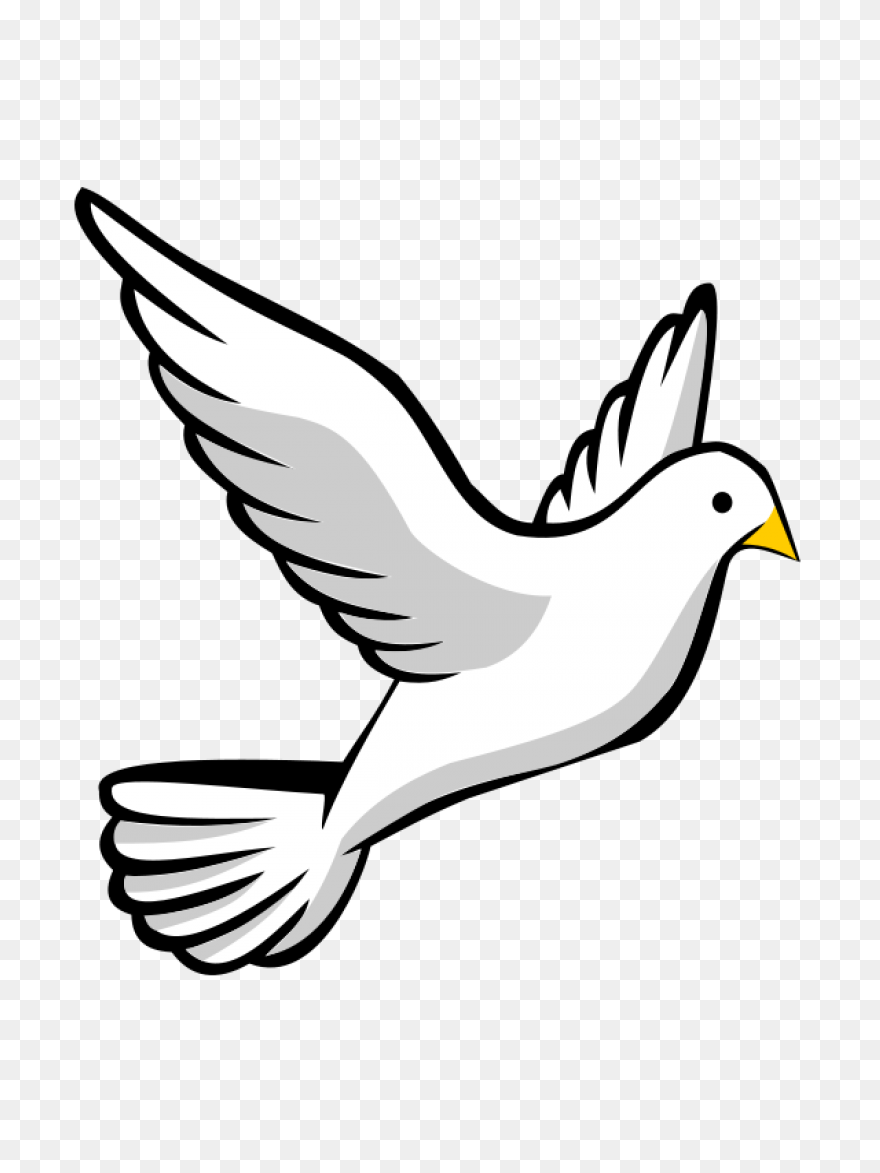 White Dove Peace Png - Imagen Trans