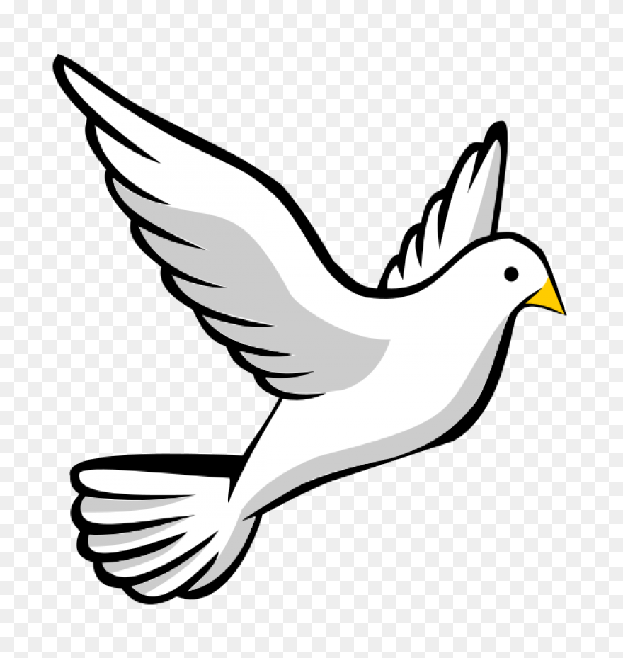 White Dove Peace Png - Imagen Trans