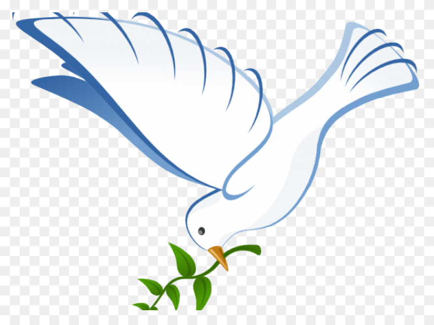White Dove Peace Png - Imagen Trans