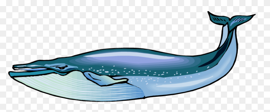 Whale Clipart Big Whale - Vector Wh