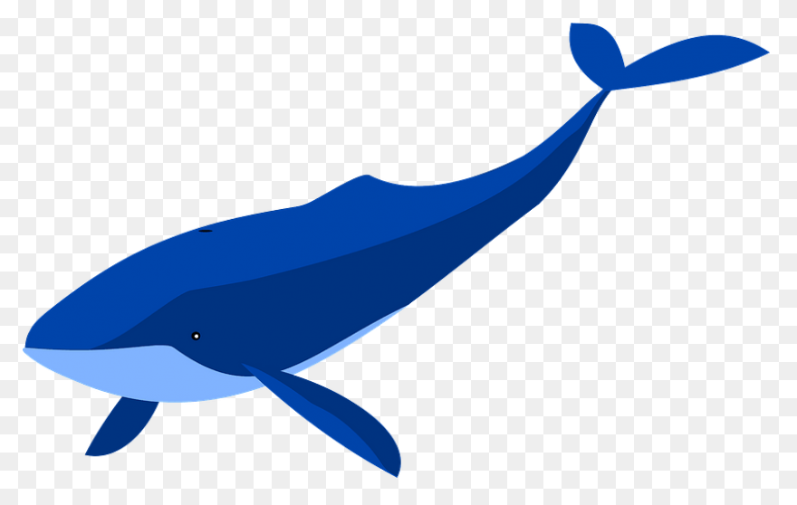 Whale Clipart Big Whale - Vector Wh