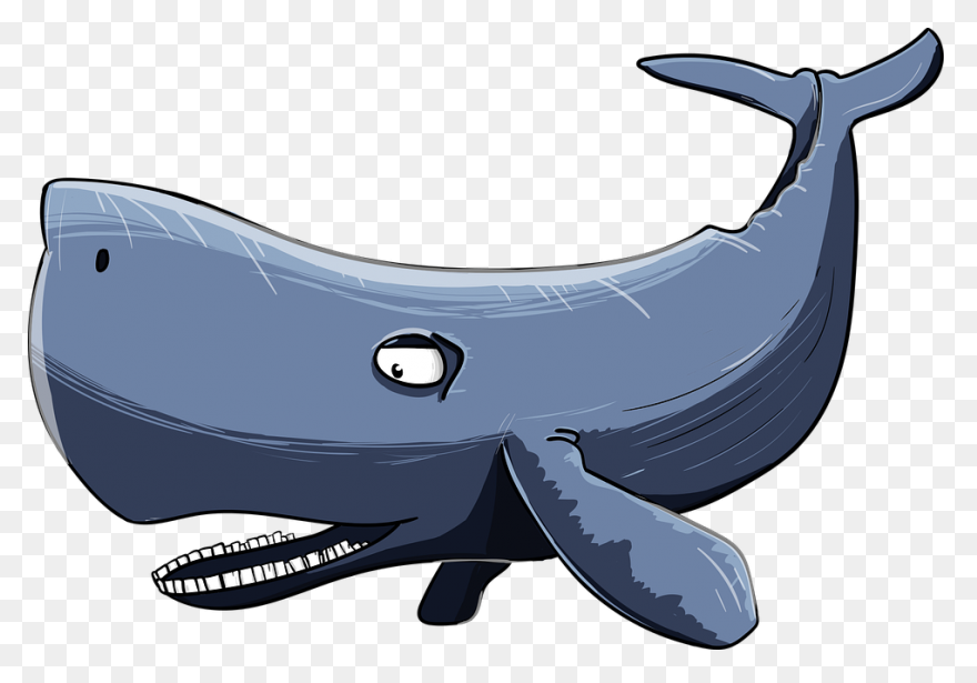 Whale Clipart Big Whale - Vector Wh