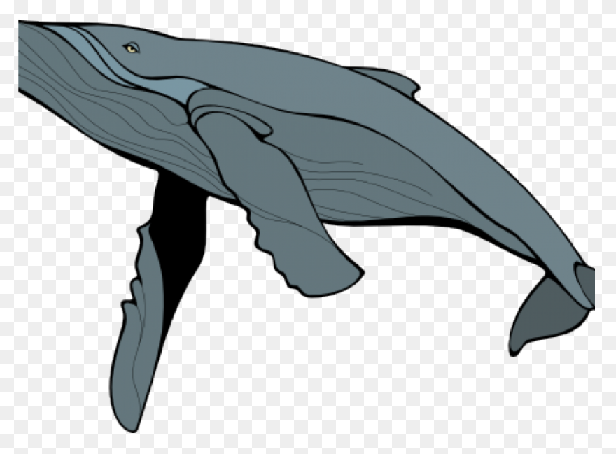 Whale Clipart Big Whale Vector - Whale