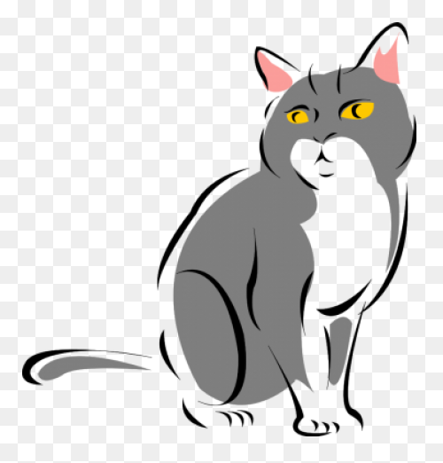 Download Cat Png Clipart Grey - White Cat