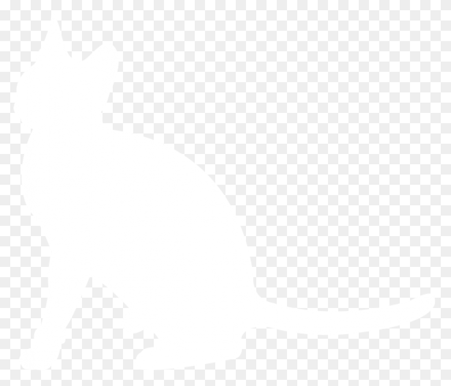 Download Cat Png Clipart - Grey And