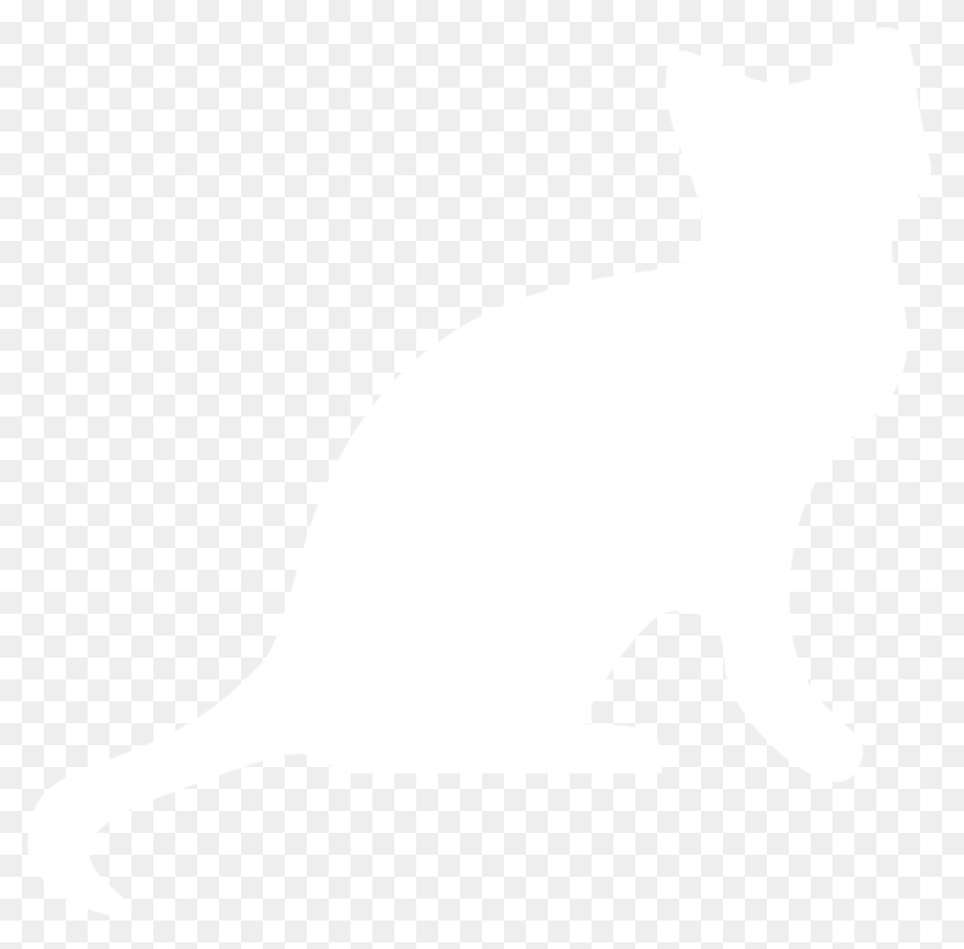 Download Cat Png Clipart - Grey And