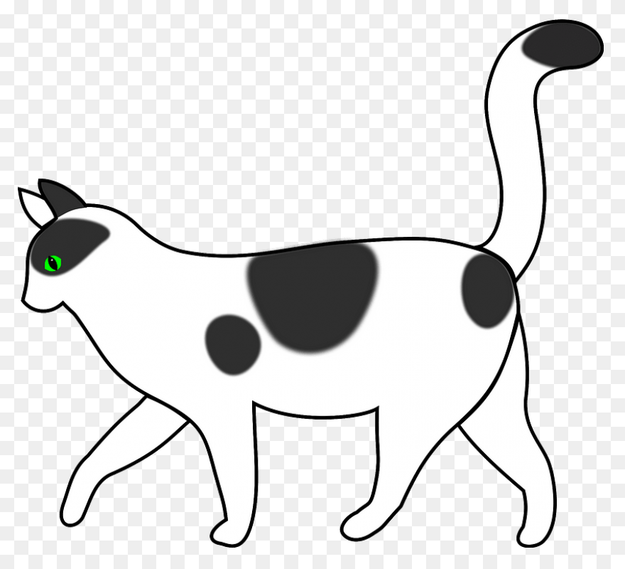 Download Cat Png Clipart - Grey And
