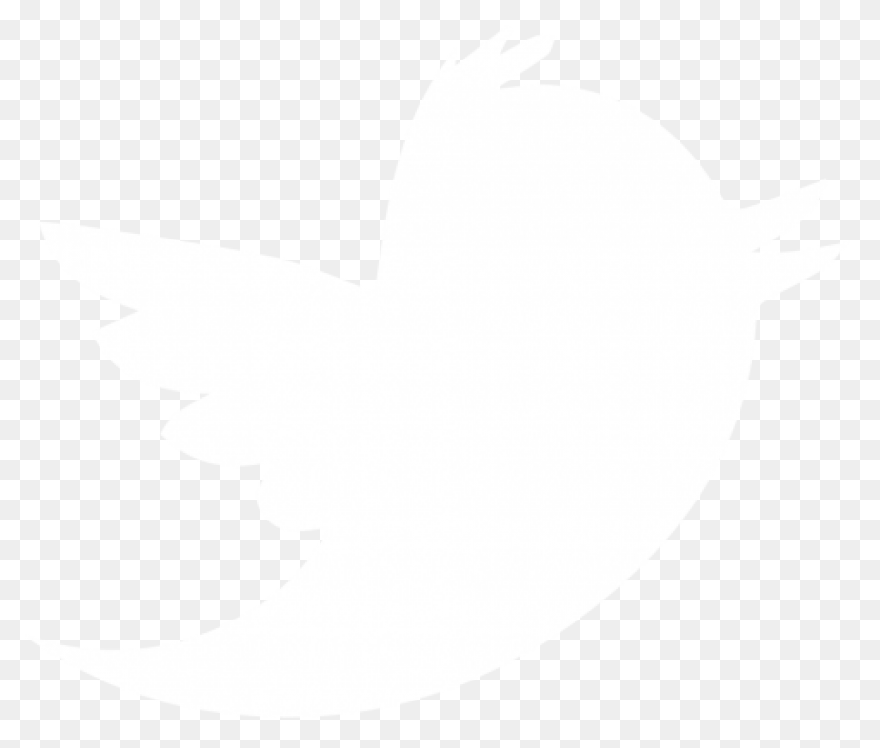 White Twitter Icon - Free White Soc