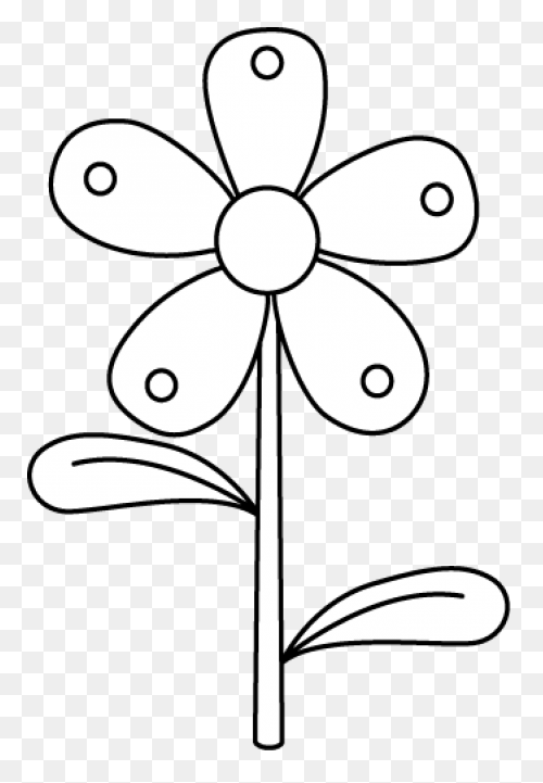 Black And White Garden Flower - White Flower