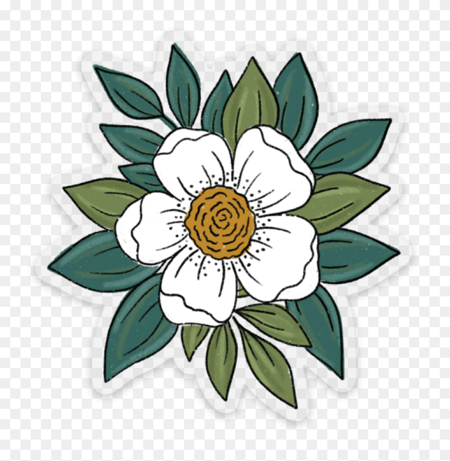 Black And White Garden Flower | Whi