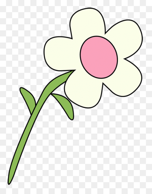 Black And White Garden Flower | Whi