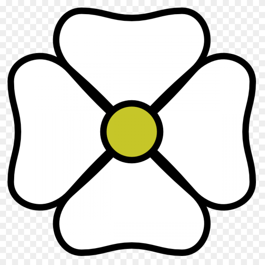 Black And White Garden Flower | Whi