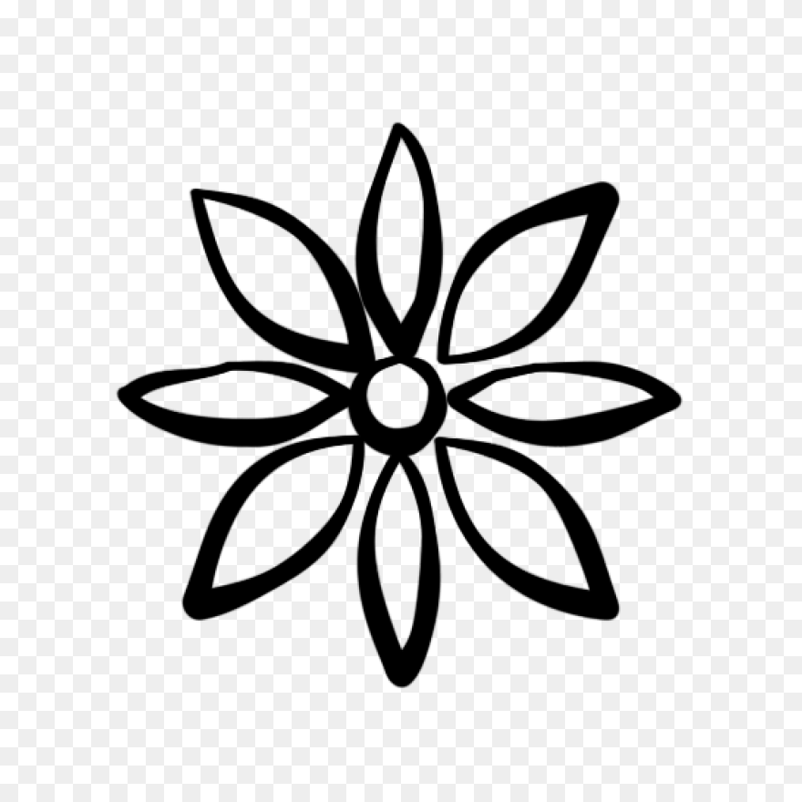 Black And White Garden Flower | Whi