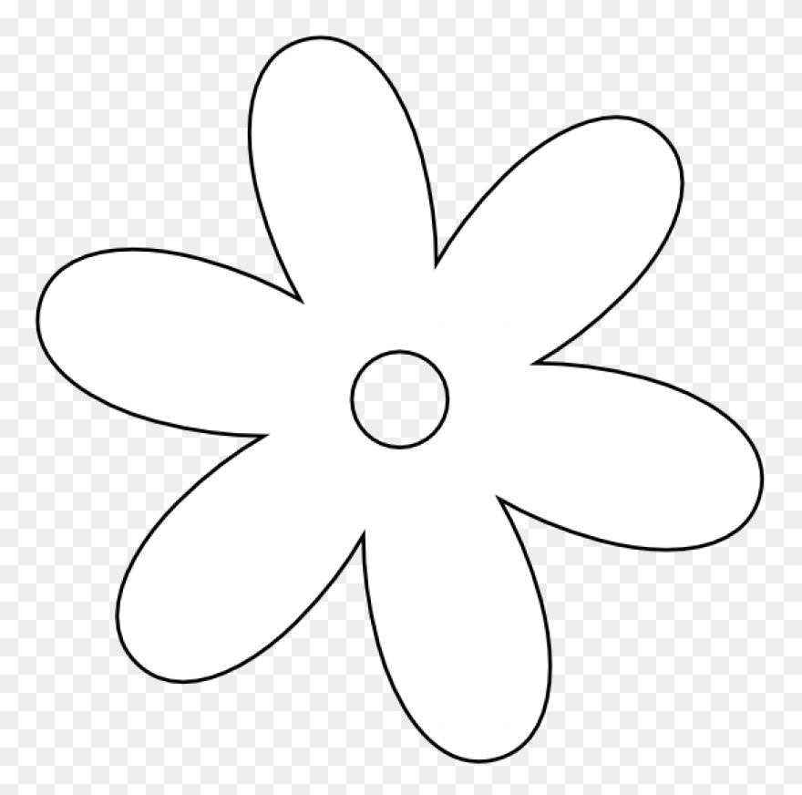 Black And White Garden Flower | Whi