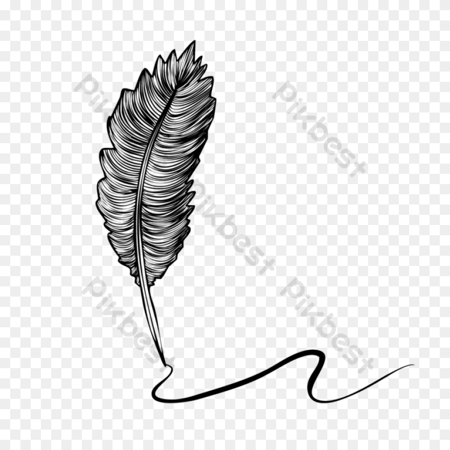Bird Black And White Feather Leaf C