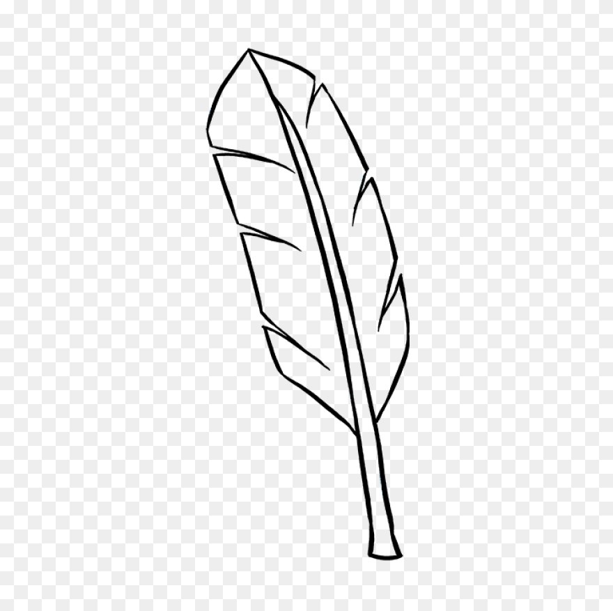 Bird Black And White Feather Leaf C