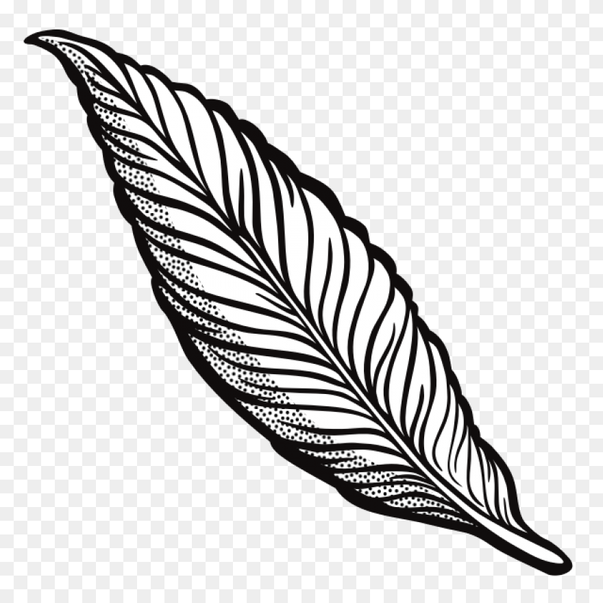 Bird Black And White Feather Leaf C