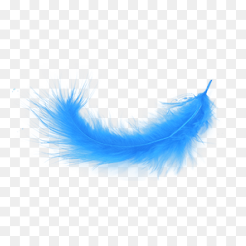 Bird Black And White Feather Leaf C
