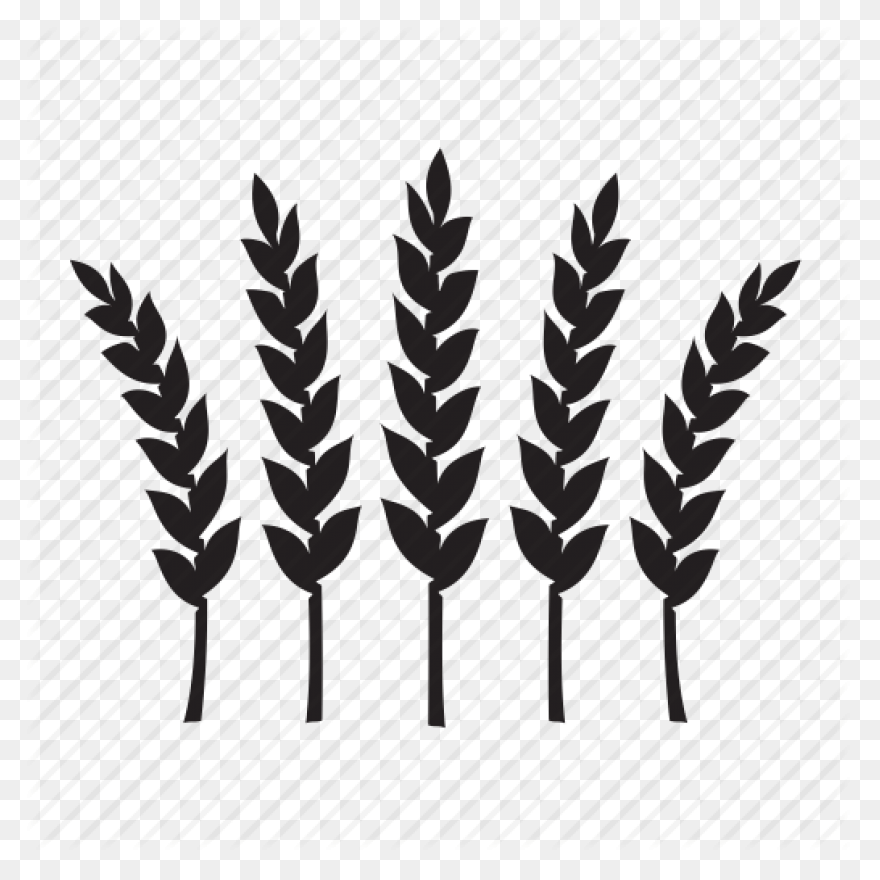 Agriculture, Farm, Grain, Wheat Ico