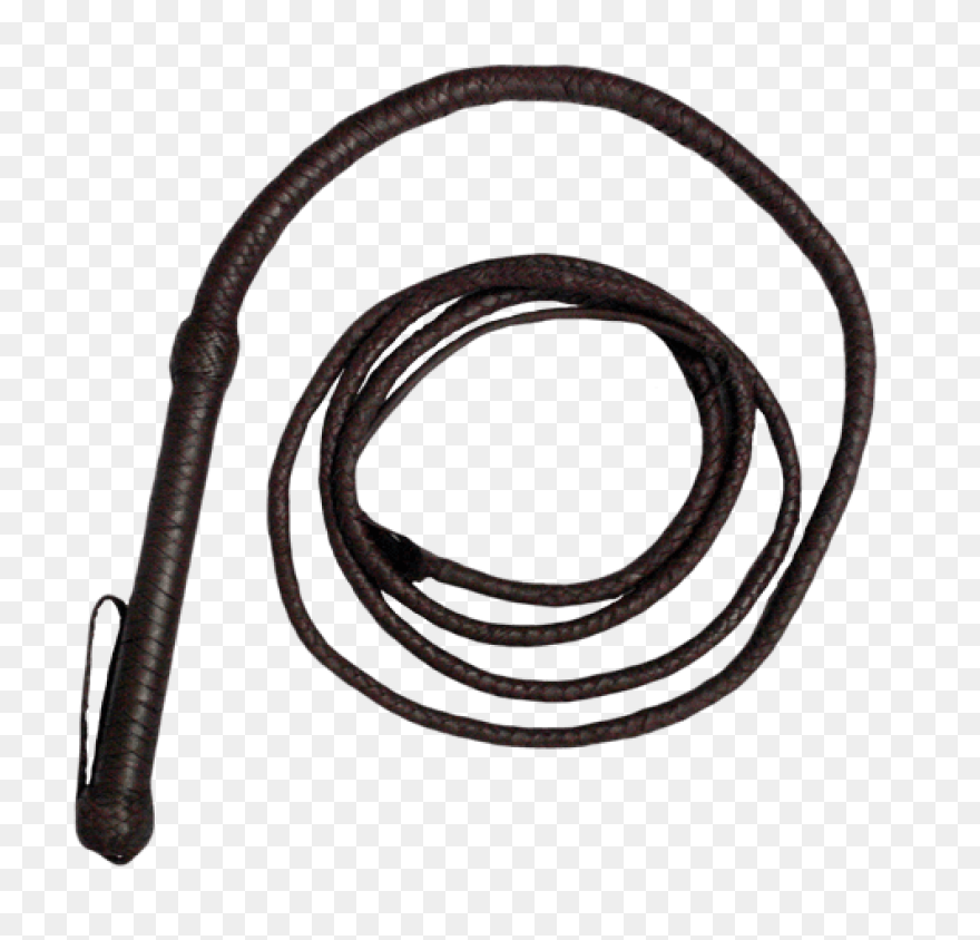 Whip (Scorched Earth) - Official Ar