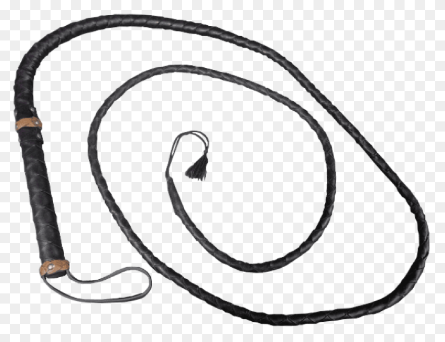 Whip (Scorched Earth) - Official Ar