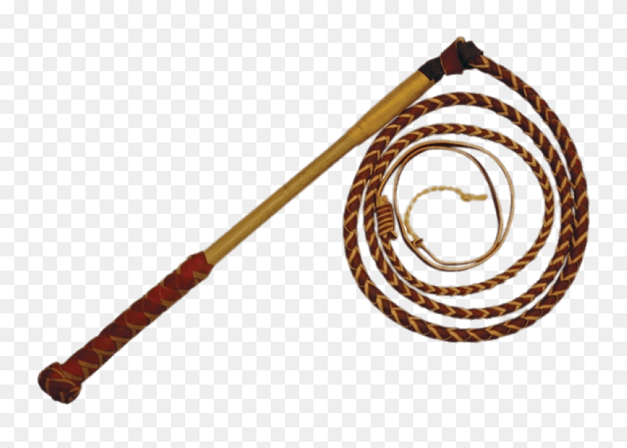 Whip With Long Handle Png - Whip