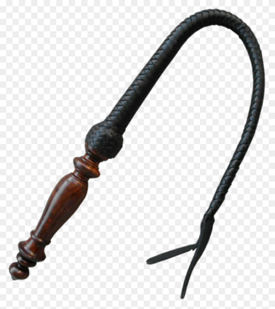 Whip (Scorched Earth) - Official Ar
