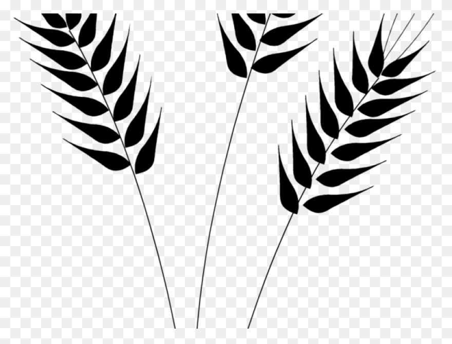 Clip Art Wheat Stalks N3 Free Image