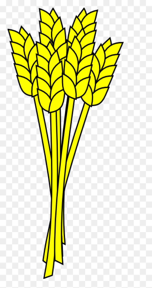 Wheat Clipart At .com Vector - Wheat