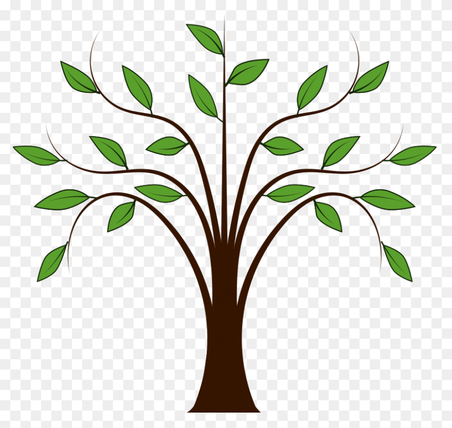 Download Tree House Branch Oak Weep