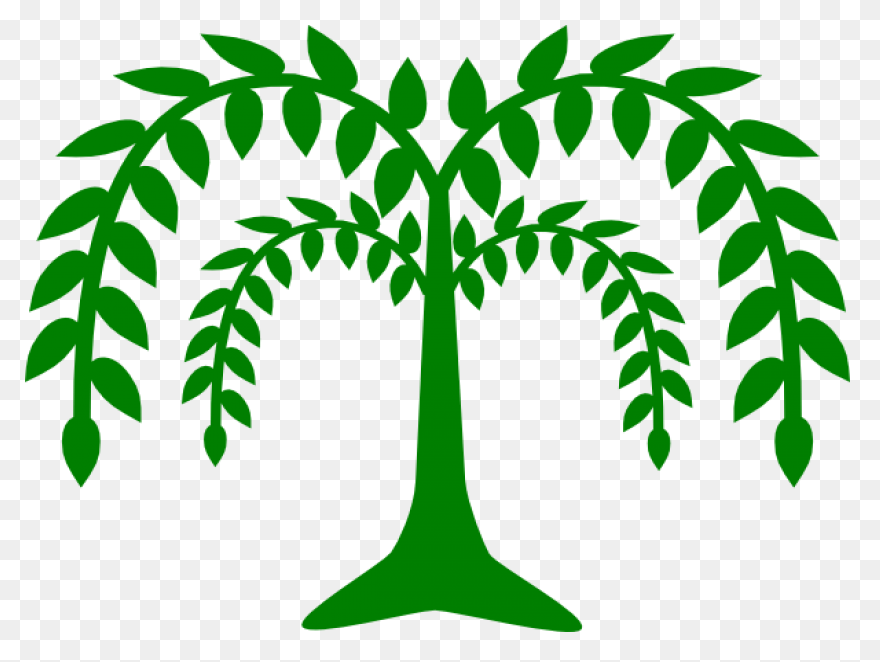 Download Tree House Branch Oak Weep