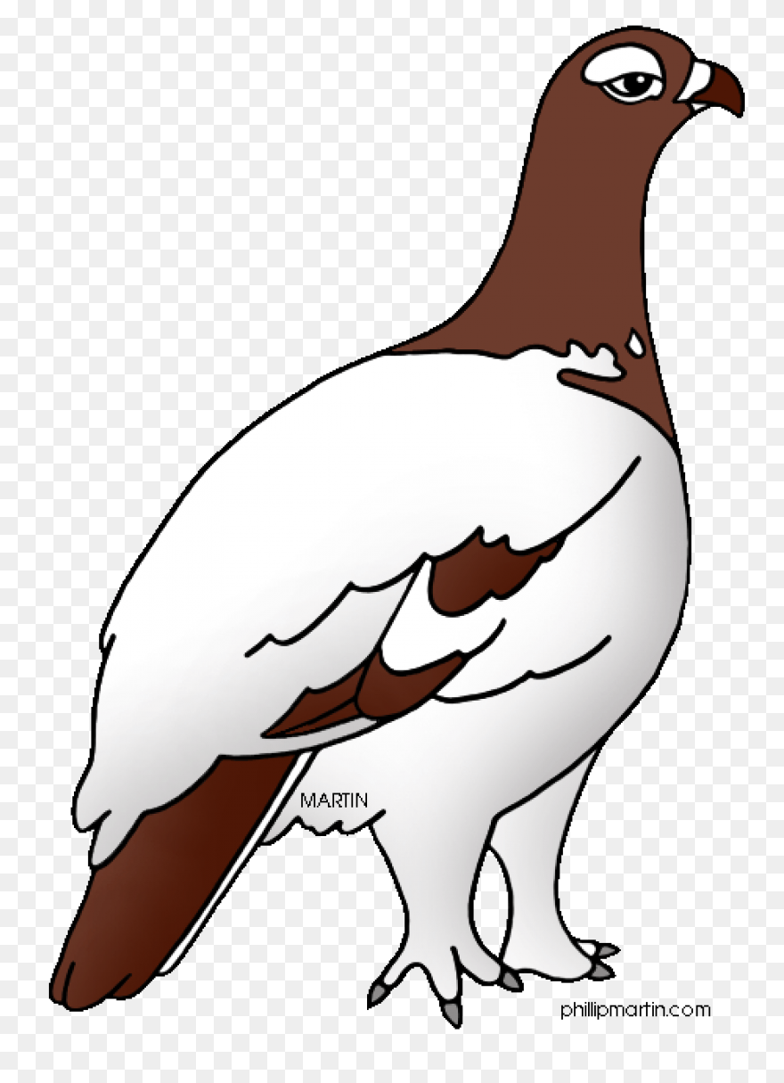 State Bird Of Alaska Willow - Willow