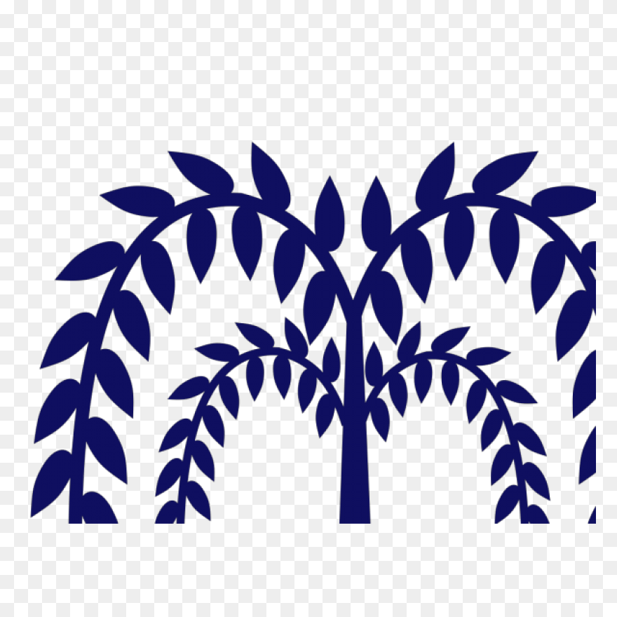 Willow Png Svg Clipart For - Willow