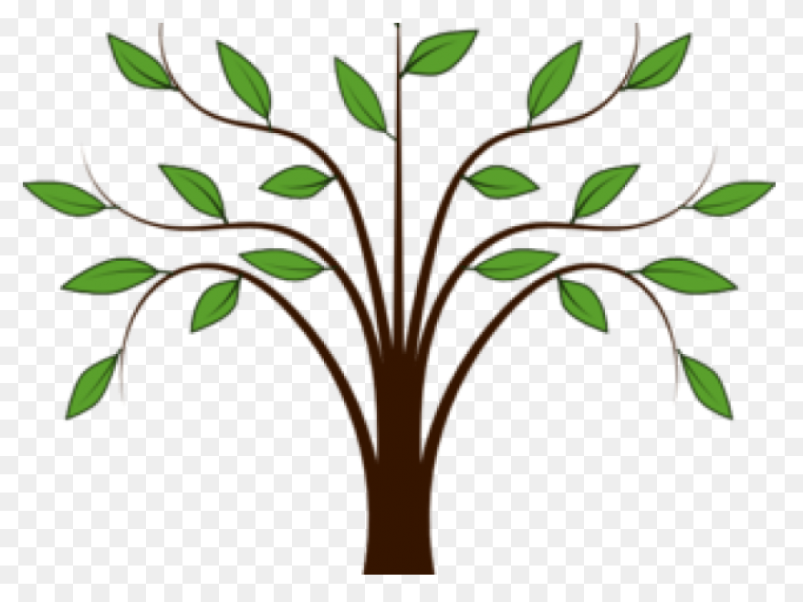 Download Tree House Branch Oak Weep