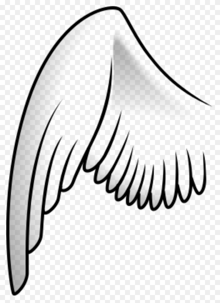 Angel Wings Drawing Outline Wings - Wings