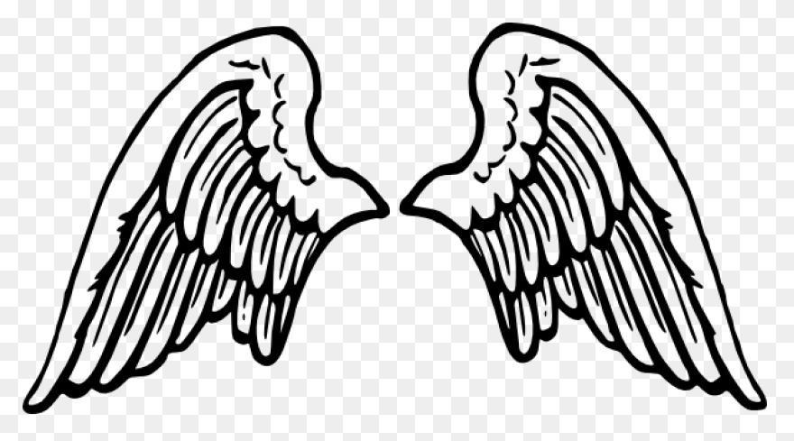Angel Wings Drawing Outline - Wings