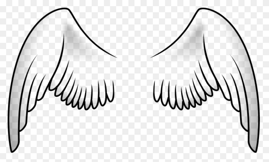 Angel Wings Drawing Outline - Wings