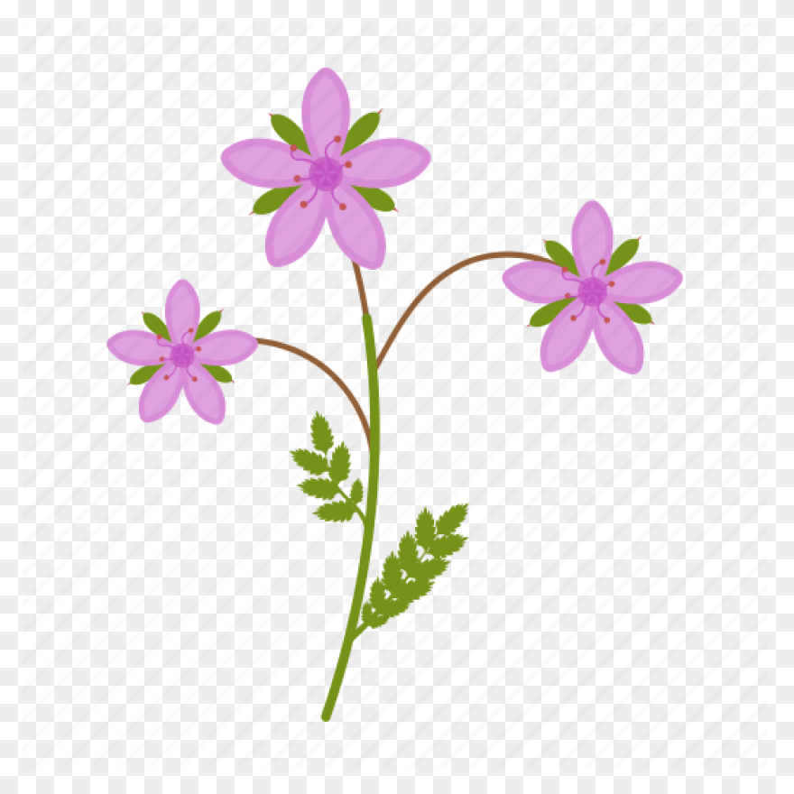 Wild Flowers,roses,flowers,wild,pin