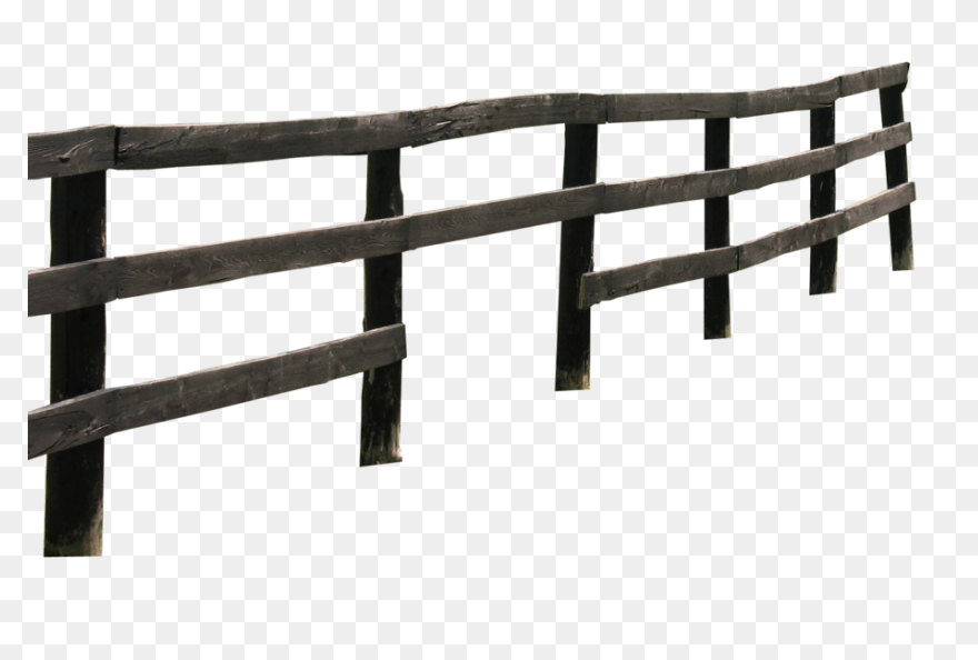 Fence, Fencing, Hedge, Hedgerow, Wo