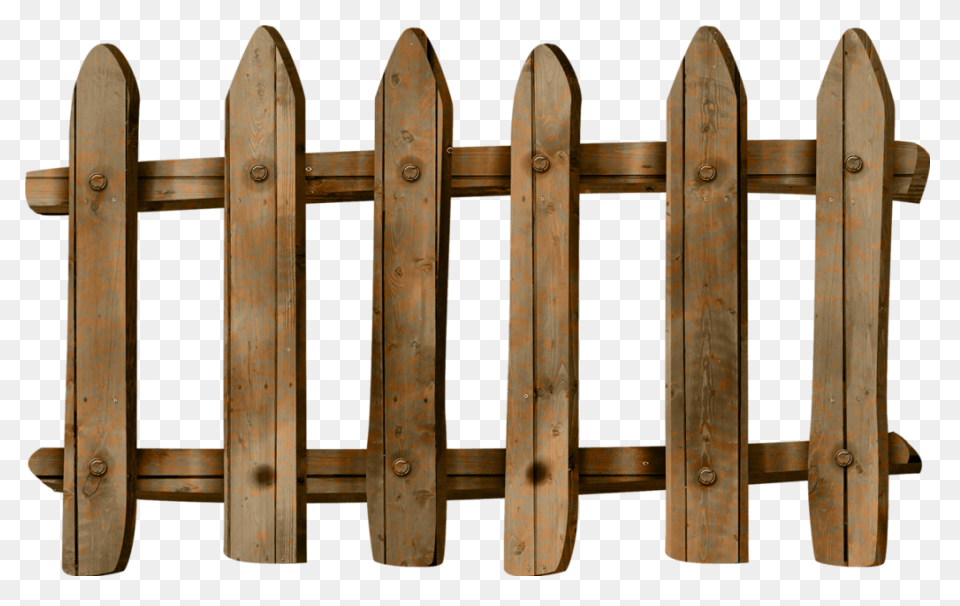 Fence, Fencing, Hedge, Hedgerow, Wo