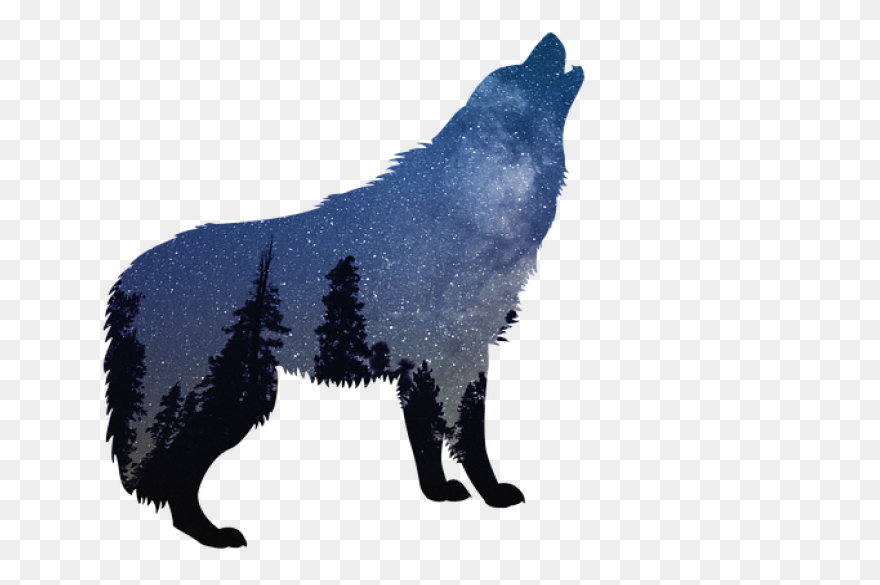 Wolf Silhouette, Wolf Stencil, Anim