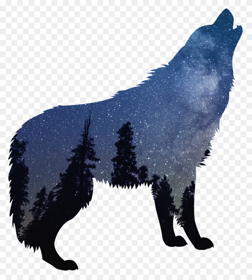 Wolf Silhouette, Wolf Stencil, Anim