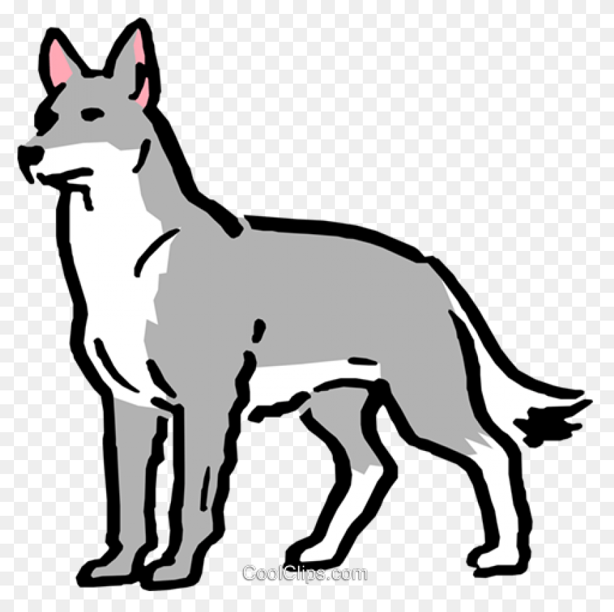 25 Amazing Wolf Gifs | Anime Wolf, 